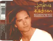 Joshua Kadison - Beautiful In My Eyes