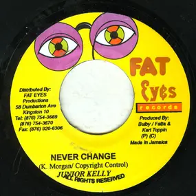 Junior Kelly - Never Change / Mission