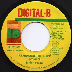 junior tucker - Remember The Love