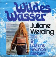 Juliane Werding - Wildes Wasser