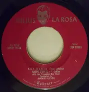 Julius La Rosa Sings With The Columbus Boychoir - Julius LaRosa Sings With Columbus Boychoir