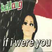 k.d. lang - If I Were You
