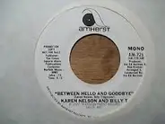 Karen Nelson And Billy T - Between Hello And Goodbye