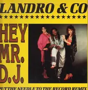 Landro & Co - Hey Mr. D.J.