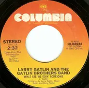 Larry Gatlin & The Gatlin Brothers - What Are We Doin' Lonesome / You Wouldn't Know Love