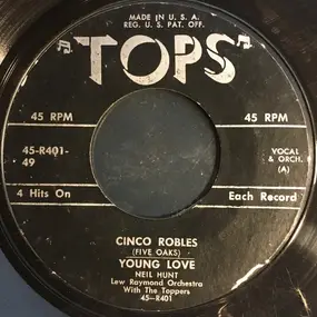 Lew Raymond And His Orchestra - Cinco Robles / Young Love / Blue Monday / Love Is Strange