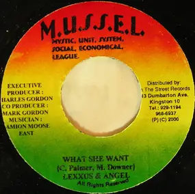 Lexxus - What She Want / Come Out To Play