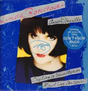 Linda Ronstadt Featuring Aaron Neville - Cry Like a Rainstorm - Howl Like the Wind