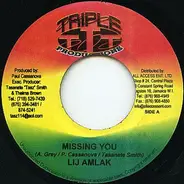 Lij Amlak - Missing You