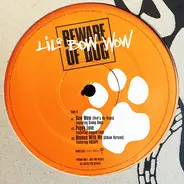 Lil' Bow Wow - Beware Of Dog (Album Sampler)