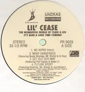 Lil' Cease - The Wonderful World Of Cease A Leo