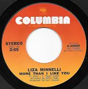 Liza Minnelli - More Than I Like You