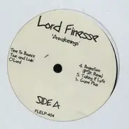 Lord Finesse - Awakenings