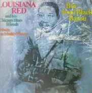 Louisiana Red & His Chicago Blues Friends - Boy From Black Bayou
