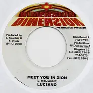 Luciano / Sly & Robbie - Meet You In Zion