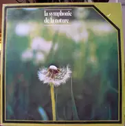 Ludwig van Beethoven , René Leibowitz , The Royal Philharmonic Orchestra - La Symphonie De La Nature (3)