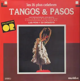 Orchestra - Tangos & Pasos