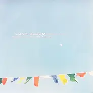 Luka Bloom - Between The Mountain And The Moon