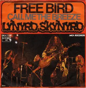 Lynyrd Skynyrd - Free Bird