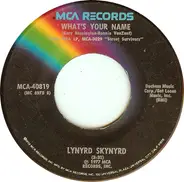 Lynyrd Skynyrd - What's Your Name / I Know A Little