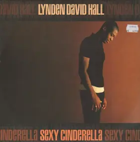 Lynden David Hall - Sexy Cinderella / Perfect Love Song
