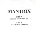 Mantrix - Smack My Bitch Up