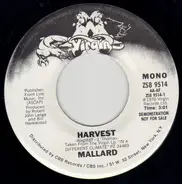 Mallard - Harvest / Harvest
