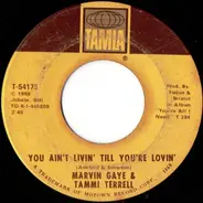 Marvin Gaye & Tammi Terrell - Keep On Lovin' Me Honey