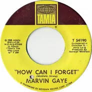Marvin Gaye - How Can I Forget