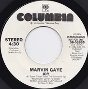 Marvin Gaye - Joy