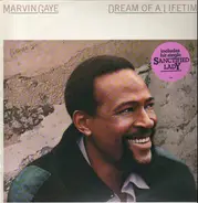Marvin Gaye - Dream of a Lifetime