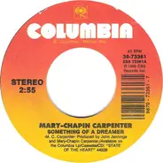 Mary Chapin Carpenter - Something Of A Dreamer