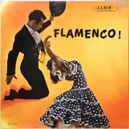 Mario Escudero - Flamenco!