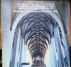 Reger - Fantasie Und Fuge Über B-A-C-H Op. 46 / Introduktion Und Passacaglia D-Moll / Sonate Nr. 2 Für Orge