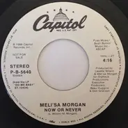 Meli'sa Morgan - Now Or Never
