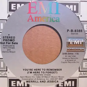 Merrill Osmond - You're Here To Remember (I'm Here To Forget)