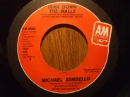 Michael Sembello - Tear Down The Walls