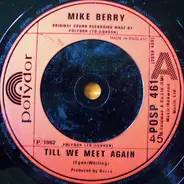 Mike Berry - Till We Meet Again