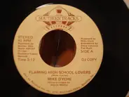 Mike Dyke - Flaming High School Lovers