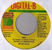 Morgan Heritage & Bushman / Chukki Star - Try / Nuff A Dem