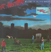 Mr Mister - Welcome to the Real World