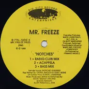 Mr. Freeze - Notches