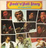 Muddy Waters / Bill Haley / Chuck Berry a.o. - Rock'n'Roll Story 48 Original Hits