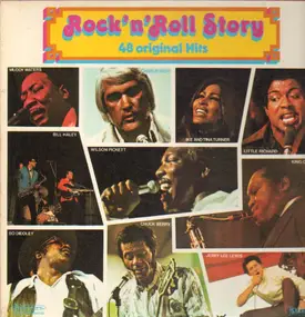 Muddy Waters - Rock'n'Roll Story 48 Original Hits