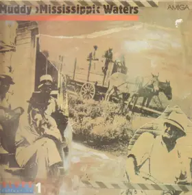 Muddy Waters - Live