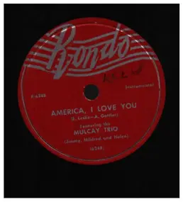 Booker T. Washington - America, I Love You/Will Never Fade Away