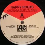 Nappy Roots - What Cha Gonna Do? (The Anthem)