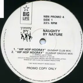 Naughty By Nature - Hip Hop Hooray (Sunship Remixes)