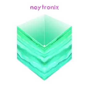 Naytronix - MR. Divine/Shadow (7inch)