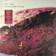 New Flesh - Understanding